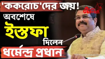 'ককরোচ'দের জয়! অবশেষে পদত্যাগ করলেন কেন্দ্রীয় শিক্ষামন্ত্রী ধর্মেন্দ্র প্রধান