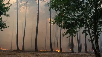 Evacuations ordered in Bordeaux suburbs as wildfires continue to ravage southern Europe