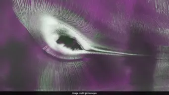 US-India Satellite Reveals 'Hummingbird'-Shaped Formation In Antarctica