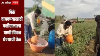 पावसानं मारली दडी, पिकं वाचवण्यासाठी बळीराजाला पाणी विकत घेण्याची वेळ, लातूर जिल्ह्यातील शेतकऱ्याचा संघर्ष