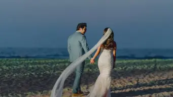 বাড়িতে বিয়ের ছবি টাঙিয়ে রেখেছেন? ভুল দিকে টাঙালেই সর্বনাশ! জেনে নিন বাস্তু মত