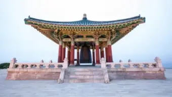 తీవ్ర ఎండలు.. కుక్క మాంసం సూప్ తాగాలని ప్రజలకు ఉత్తర కొరియా సూచన