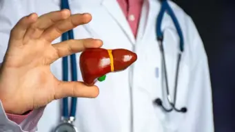 Liver Disease: લિવરની બીમારીને કેમ કહેવામાં આવે છે સાઇલન્ટ કિલર? આ બીમારીઓ તેને બનાવે છે ખતરનાક