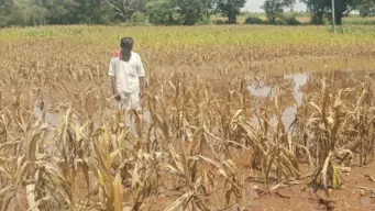 Canal seepage continues to trouble farmers in Doni, Dambal