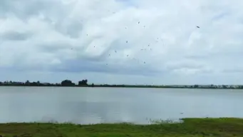 Kalamba Lake | कळंबा तलाव धोक्यात? संरक्षण भिंतीला तडे, महापालिकेत गाजला मुद्दा