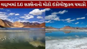લદ્દાખના સૂકાઈ રહેલા ત્સો કાર (Tso Kar) તળાવને બચાવવા અનોખો પ્રોજેક્ટ: ગ્લેશિયરના પાણીનો થશે ઉપયોગ