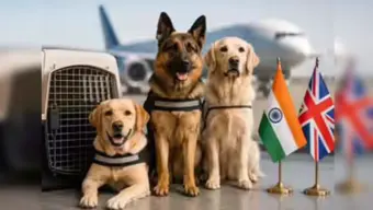 હવે ખાસ ઈવેન્ટ માટે તાલીમબદ્ધ શ્વાનોને કોઈ ડયુટી વગર ભારતમાં લાવી શકાશે