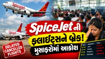 દિલ્હી એરપોર્ટ પર SpiceJetની ફ્લાઈટ્સમાં વિક્ષેપ, એરપોર્ટ પર મુસાફરોએ નોંધાવ્યો વિરોધ