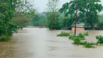 Assam Floods: Death toll rises to 98 as state battles severe deluge