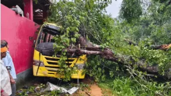 ಶಾಲಾ ಬಸ್ ಮೇಲೆ ಮರ ಬಿದ್ದು ಬಾಲಕಿ ಸಾವು, ನಾಲ್ಕು ಮಕ್ಕಳಿಗೆ ಗಾಯ; ಕಲ್ಲಡ್ಕ ಬಳಿ ಹೃದಯ ವಿದ್ರಾವಕ ಘಟನೆ