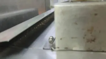 McDonald's Kitchen Exposed? Maharashtra FDA Finds Cockroaches, Stale Food; Suspends Licence