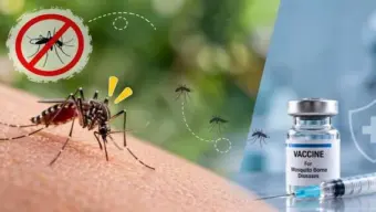Dengue Vaccine:  இந்தியாவின் முதல் டெங்கு தடுப்பூசி எப்போது வரும்? அது எவ்வளவு பயனுள்ளது?