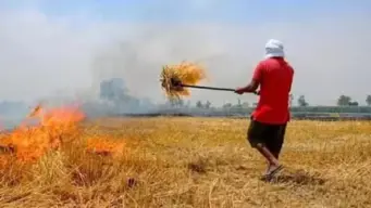 New Draft Rule On Stubble Burning: पराली जलाने संबंधी नए नियम बनाएगी केंद्र सरकार, खेतों को रेड कैटेगरी में डालने समेत कई प्रस्ताव