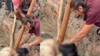 Nepal Police Arrest Men Seen Stealing Earrings From Flood Victim's Body - VIDEO