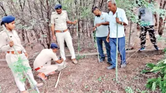 Fake leopard videos fuel panic as forest teams race against rumoursAI-generated clips, old wildlife videos flooding social media trigger fear across Ghuma, Shela and South Bopal, forcing Forest Dept to divert rescue teams while tracking big cat
