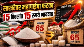 साखरेचे भाव ६५ रुपये प्रति किलोवर; १५ दिवसांत १५ रुपयांची वाढ-भाव का वाढत आहेत?