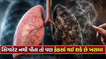 સ્મોકિંગ સિવાય આ કારણોથી પણ ફેફસાં થાય છે નબળા, આ 5 ચેતવણીરૂપ લક્ષણો દેખાય તો તુરંત જાવ ડૉક્ટર પાસે
