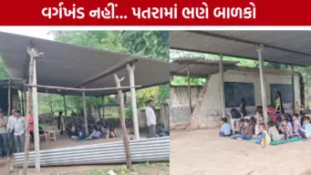 4 વર્ષથી ઓરડા વગર ચાલી રહી છે શાળા: છોટા ઉદેપુરના સૈડીવાસણમાં પતરાના શેડ નીચે ભણી રહ્યા છે વિદ્યાર્થીઓ