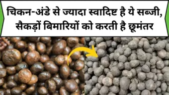 चिकन-अंडे से ज्यादा स्वादिष्ट है ये सब्जी, सैकड़ों बिमारियों को करती है छूमंतर, जाने सब्जी का नाम और काम