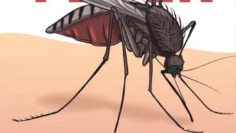 Nashik Dengue Cases: नाशिककरांना लागला डेंग्यूचा डंख ; जुलैत आढळले डेंग्यूचे २२ रुग्ण , पाऊस सुरू होताच वाढला उद्रेक