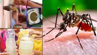રાજકોટમાં સ્વાઇનફ્લૂથી મહિલાનું મોત શહેરમાં ડેંગ્યુના નવા ત્રણ કેસ નોંધાયા