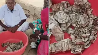 खेत में दबाकर रखे 5 लाख रुपये दीमक ने किए बर्बाद वायरल हुआ वीडियो
