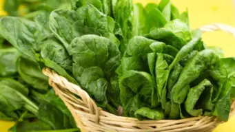 Health Benefits Of Spinach: ಕಣ್ಣಿನ ಶಕ್ತಿ ಹೆಚ್ಚಿಸಲು, ತೂಕ ಇಳಿಸಲು, ಫಳಫಳ ಹೊಳೆಯುವ ಚರ್ಮ ಪಡೆಯಲು ಪಾಲಕ್ ಸೇವಿಸಿ; ಈ ಮ್ಯಾಜಿಕ್‌ ಸೊಪ್ಪಿನ ಪ್ರಯೋಜನ ಒಂದೆರಡಲ್ಲ