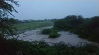 સવારે બે કલાકમાં વાંકાનેરમાં ૨ ઇંચ અને ટંકારામાં ૧.૫ ઇંચ વરસાદ વરસ્યો