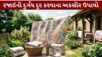 રજાઈમાંથી આવતી ભેજ અને દુર્ગંધ કેવી રીતે દૂર કરશો? અજમાવો આ સરળ અને અકસીર ઉપાયો
