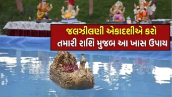 આર્થિક તંગીથી છો પરેશાન? જલઝીલણી એકાદશી પર રાશિ અનુસાર કરો આ દાન, શ્રી હરિ વિષ્ણુ થશે પ્રસન્ન