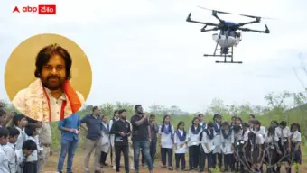 Pawan Kalyan Seed Balls: డ్రోన్లతో సీడ్ బాల్స్ వర్షం - 50 శాతం గ్రీన్ కవర్ లక్ష్యంగా పవన్ కళ్యాణ్ బిగ్ ప్లాన్