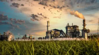 Sugar Production: भारत में सबसे ज्यादा चीनी कौन बनाता है? महाराष्ट्र-UP समेत जानें पूरा आंकड़ा