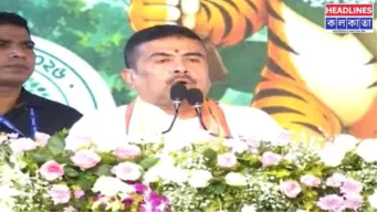 'গাছটাকেও ছাড়েননি'! রাজ্যে সবুজ ধ্বংস নিয়ে নাম না করে মমতাকে তোপ মুখ্যমন্ত্রী শুভেন্দুর