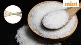Sugar stocks crash: कल चढ़े थे और आज हो गए धड़ाम! सरकार के इस कदम से चीनी शेयरों में 5% की गिरावट, जानें वजह