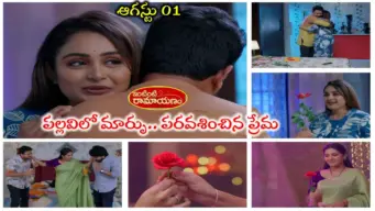 Intinti Ramayanam Today ఆగస్టు 01 ఎపిసోడ్: 'తల్లిని కావాలని ఉంది బావా'.. పల్లవి ప్రేమకి ముగ్ధుడైన కమల్.. ఎన్నాళ్లకెన్నాళ్లకో