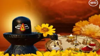 Masik Shivratri 2026 वैवाहिक जीवनात काही अडथळे येत असतील तर करा मासिक शिवरात्री व्रत