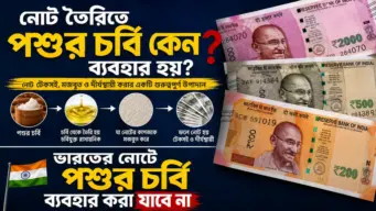 Polymer Notes: এসব দেশে নোট তৈরিতে পশুর চর্বি ব্যবহার করা হয়, কারণ জানলে অবাক হবেন