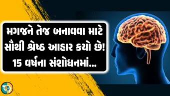 15 વર્ષના સંશોધન પછી ડૉક્ટરે કહ્યું કે, મગજને તેજ બનાવવા માટે કયો   આહાર સૌથી શ્રેષ્ઠ! જાણો.!