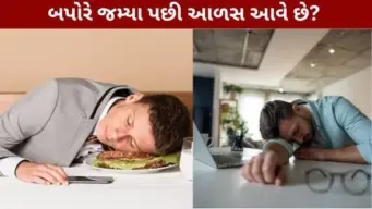બપોરે જમ્યા પછી આળસ અને ઊંઘ આવે છે? ડાયટમાં સામેલ કરો આ 5 સુપરફૂડ્સ, આખો દિવસ રહેશો એનર્જેટિક