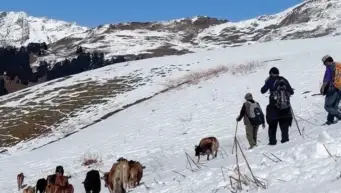 Disrupted rhythms: How climate change affects Himalayan pastoralism