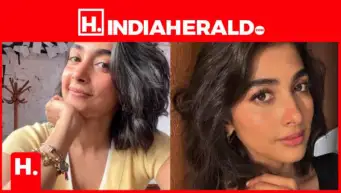 Before Avengers & Dune Take Over December, Pooja Hegde Has One Big Shot
