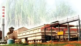 साखरेचा भाव वाढला, मग उसाचा का नाही? शेतकऱ्याच्या घामाला योग्य किंमत मिळावी; प्रहार संघटनेचे तालुकाध्यक्ष राकेश पाटील यांचा खरमरीत सवाल
