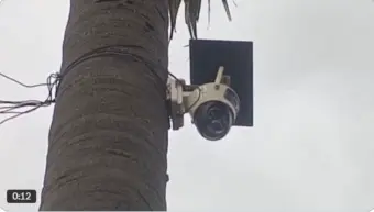 Toddy Tree CCTV : తాటిచెట్లు ఎక్కిన సీసీ కెమెరాలు..! ఇదో హఠాత్ పరిణామం