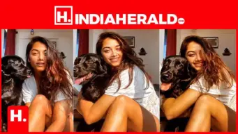 Bhagyashri Borse Radiates Sunshine and Simplicity in Adorable Pet Moments
