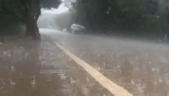 Maharashtra Weather Update: राज्यात मुसळधार पावसाची शक्यता, 24 जिल्हांना यलो अलर्ट जाहीर