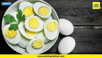 Eggs And Cholesterol: रोज अंडं खाल्ल्याने कोलेस्ट्रॉल वाढतं? अंड्याच्या पिवळ्या बलकाबद्दलचे ४ मोठे गैरसमज, जाणून घ्या सत्य