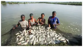 बिहार में देसी मछली पालन पर सरकार दे रही है 60% तक सब्सिडी, 31 अगस्त तक करें आवेदन