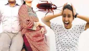 1 कॉकरोच ने करा दिया पति-पत्नी के बीच तलाक, 18 बार बदले घर फिर भी बीवी अपनी हरकत से बाज नहीं आई