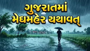 Gujarat Rain News: 24 કલાકમાં 204 તાલુકામાં મેઘમહેર, વલસાડના કપરાડામાં આકાશી આફત વચ્ચે 5 ઈંચથી વધુ વરસાદ