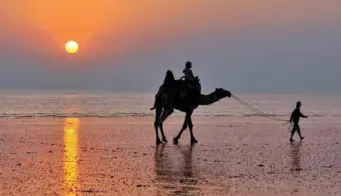 9 Famous Beaches To Explore In Gujarat
